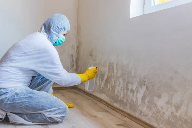 Licensed Mold Inspection service in Franktown, VA - WQB Mold Removal