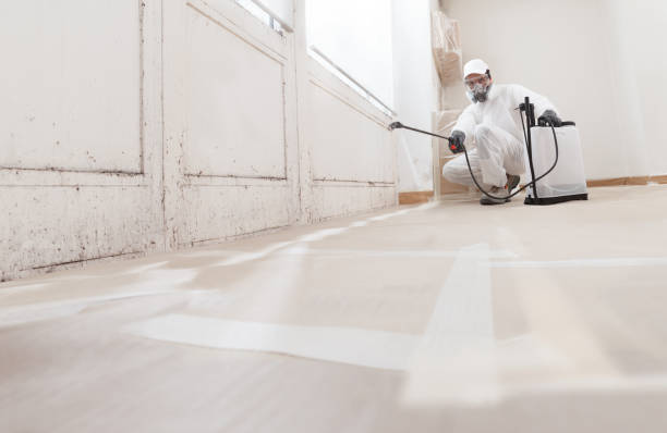 Trusted Mold Inspection service in Franktown, VA - WQB Mold Removal