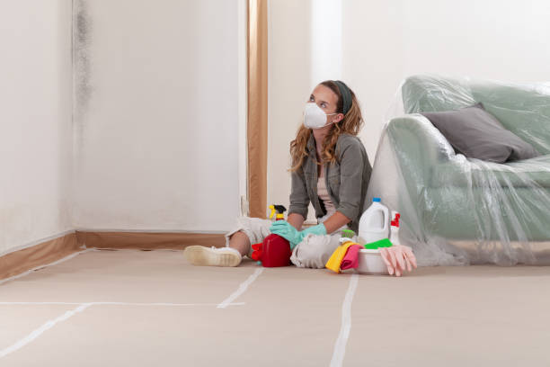 Reliable Mold Inspection contractor in Franktown, VA by WQB Mold Removal