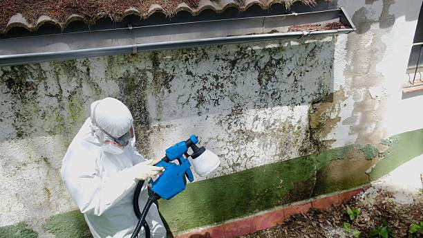 Top rated local Mold Inspection specialists in Franktown, VA